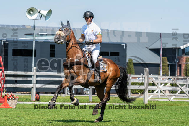 Kronenberg - De Peelbergen (August 2020)