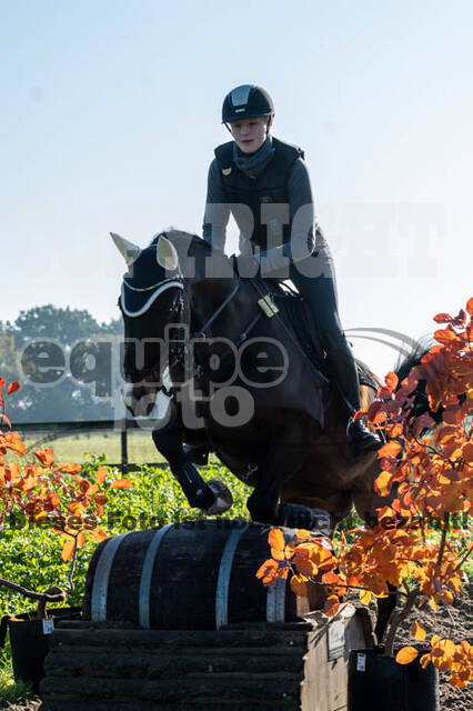 Vielseitigkeitslehrgang mit Jürg Kurbel (9.+10.11.2019)