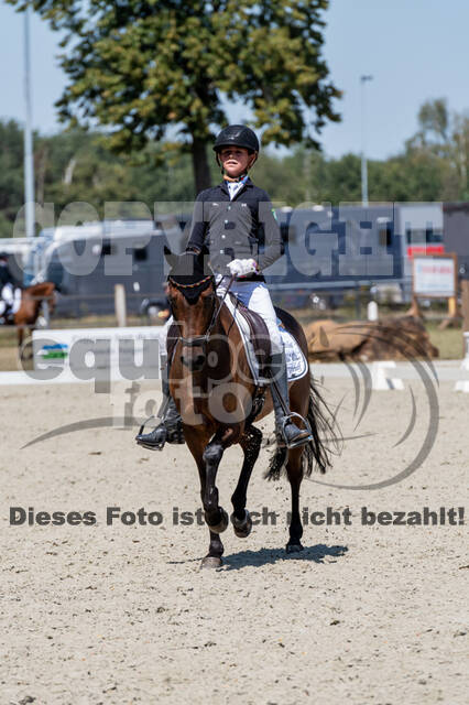 Kronenberg - De Peelbergen (August 2020)