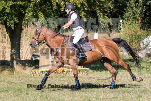 Vielseitigkeitsturnier RSV St. Hubertus Wesel Obrighoven