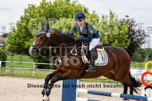 Late-Entry-Vielseitigkeit Langenfeld (06.+07.07.2020)