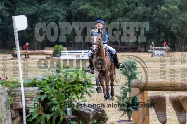 Late-Entry Vielseitigkeit Hamminkeln/Wesel (01.+02.08.2020)