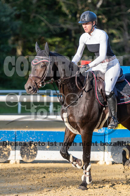 RFV Dinslaken-Hiesfeld (Herbstturnier)