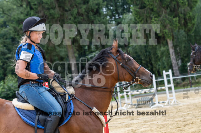 Hunter Geländetraining 10.07.2021 (Sonsbeck)