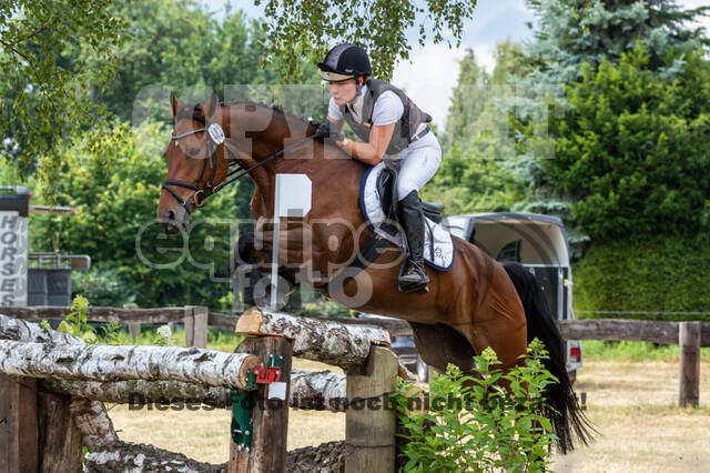 Late-Entry Vielseitigkeit Hamminkeln/Wesel (01.+02.08.2020)