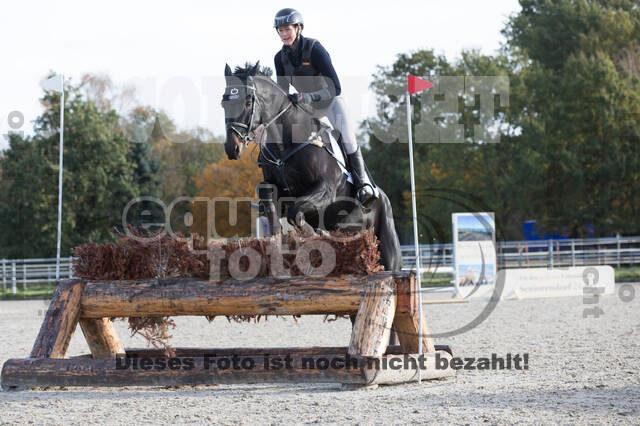 IGV Lehrgang der Sieger der Cups mit Frank Ostholt