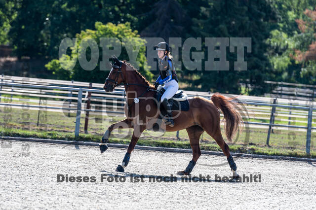 Late-Entry-Vielseitigkeit Langenfeld (11.+13./14.06.2020)