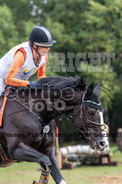 Vielseitigkeit RSV Wesel Obrighoven (26.+27.09.2020)