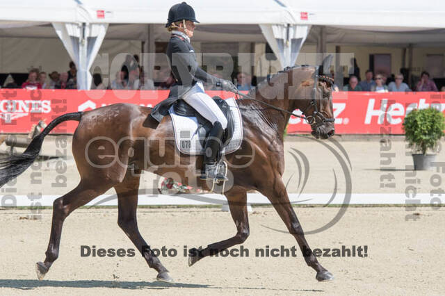 FEI European Championship Eventing 2017