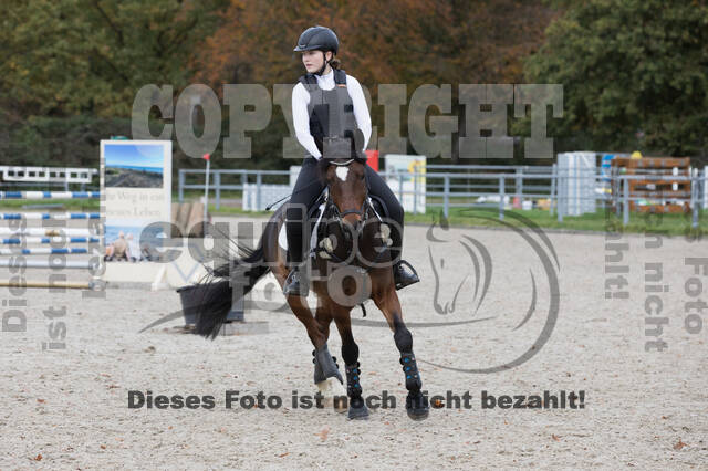 IGV Lehrgang der Sieger der Cups mit Frank Ostholt