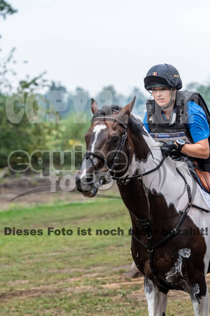 De Peelbergen (August 2020)