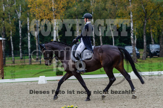 Deutsche Meisterschaft Vielseitigkeit (Luhmühlen)