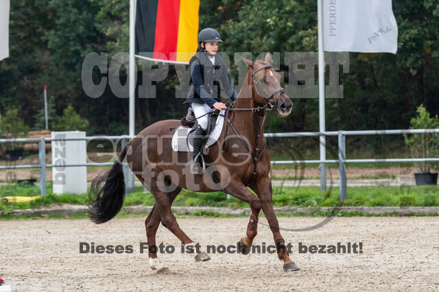 Goldene Schärpe 2020 - Pferde