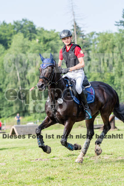 Goldene Schärpe 2021 - Ponys