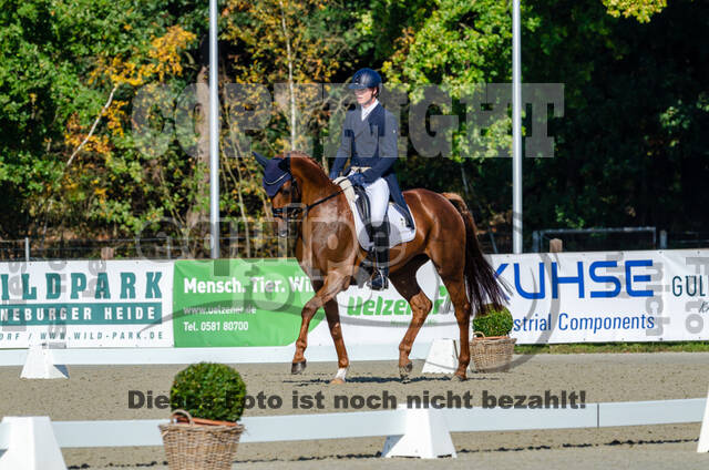 Deutsche Meisterschaft Vielseitigkeit (Luhmühlen)