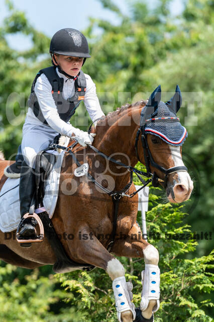 Goldene Schärpe 2021 - Ponys