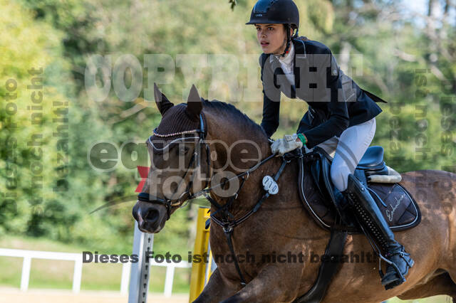 RFV Dinslaken-Hiesfeld (Herbstturnier)