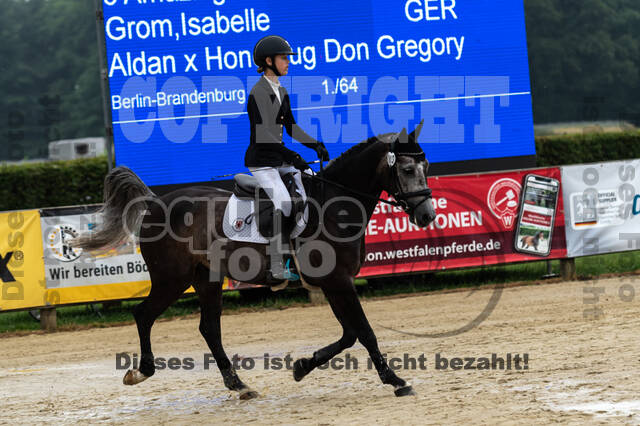 Goldene Schärpe 2021 - Ponys