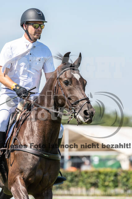 Kronenberg - De Peelbergen (August 2020)