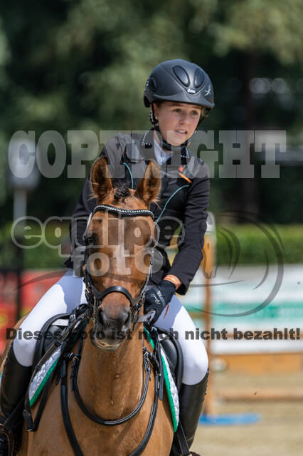 Goldene Schärpe 2021 - Ponys