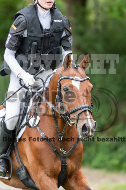 Late-Entry-Vielseitigkeit Langenfeld (06.+07.07.2020)