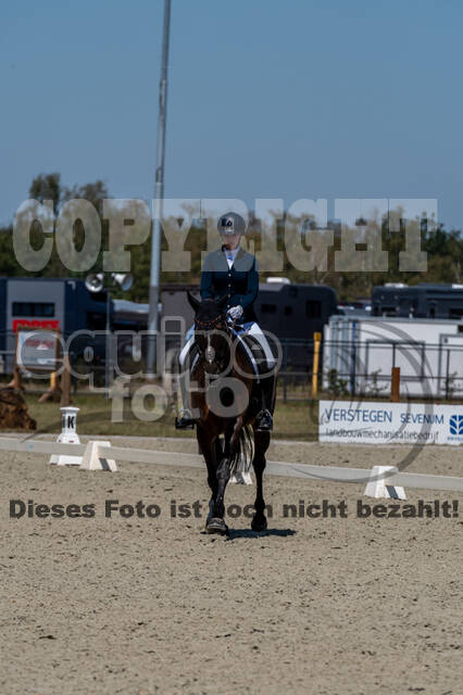 Kronenberg - De Peelbergen (August 2020)