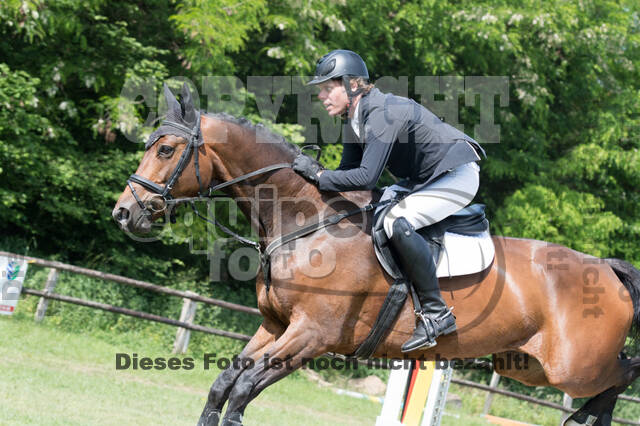 Vielseitigkeitsturnier ZRuFV von Lützow Hamminkeln