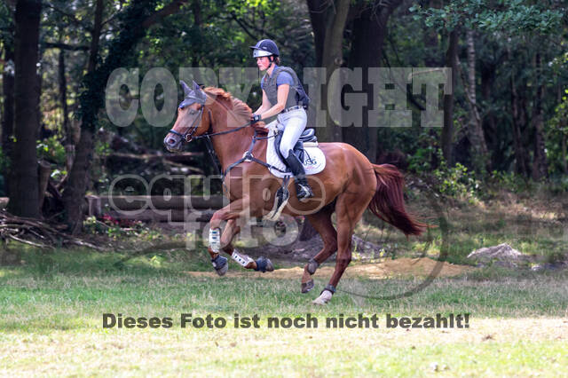 Late-Entry Vielseitigkeit Hamminkeln/Wesel (01.+02.08.2020)