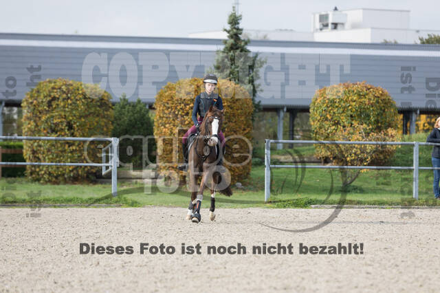 IGV Lehrgang der Sieger der Cups mit Frank Ostholt