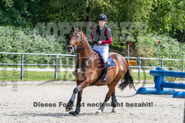 Late-Entry-Vielseitigkeit Langenfeld (11.+13./14.06.2020)
