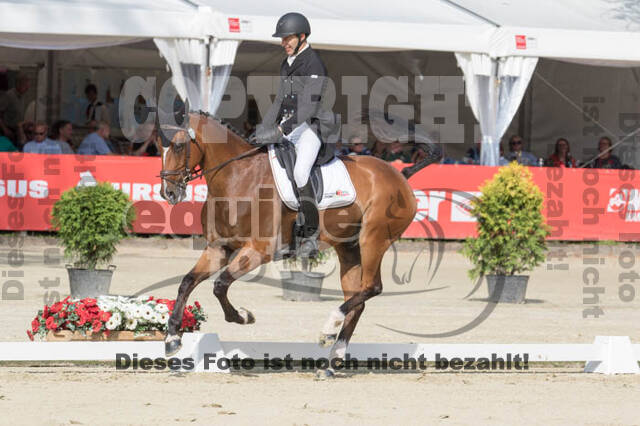 FEI European Championship Eventing 2017