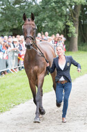 FEI European Championship Eventing 2017