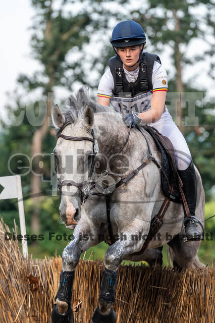 De Peelbergen (August 2020)