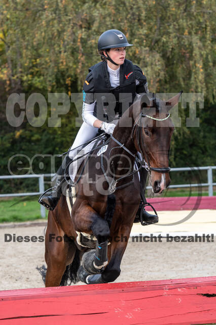 Goldene Schärpe 2020 - Pferde