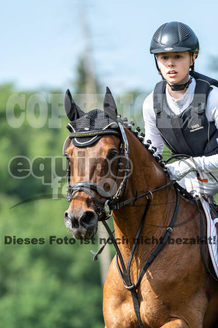 Goldene Schärpe 2021 - Ponys