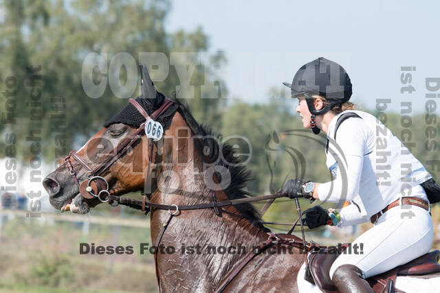 FEI European Championship Eventing 2019