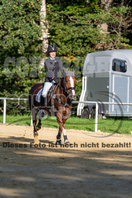 RFV Dinslaken-Hiesfeld (Herbstturnier)