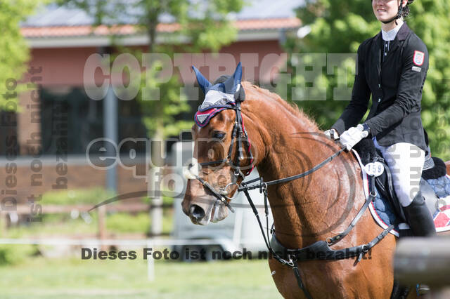 Sterne über Münster 2019 - CCI***S