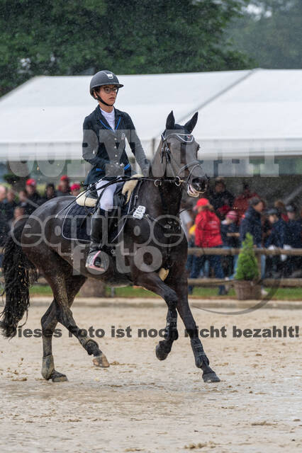 Goldene Schärpe 2021 - Ponys