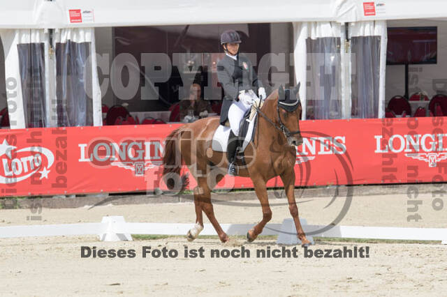 FEI European Championship Eventing 2017