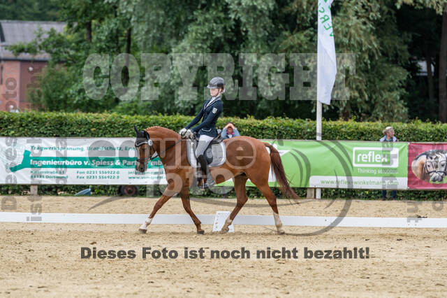 Goldene Schärpe 2021 - Ponys