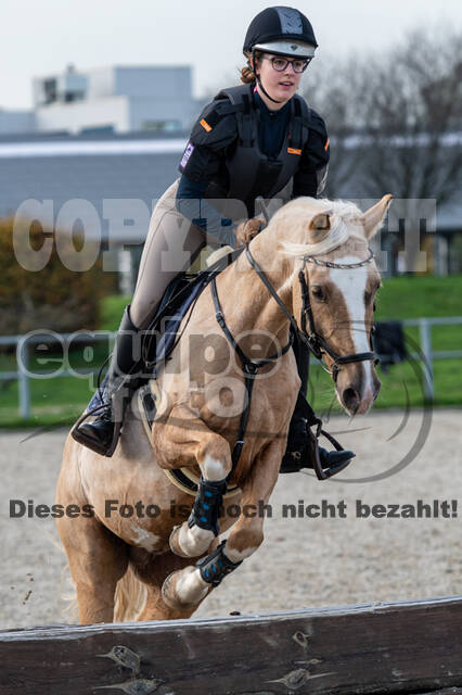 IGV Lehrgang der Sieger der Cups mit Frank Ostholt