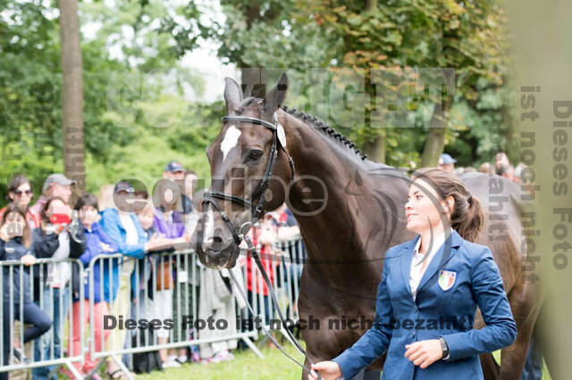 FEI European Championship