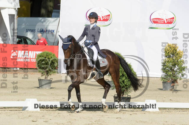 FEI European Championship Eventing 2017