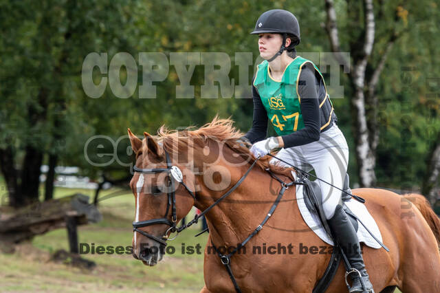 Vielseitigkeit RSV Wesel Obrighoven (26.+27.09.2020)