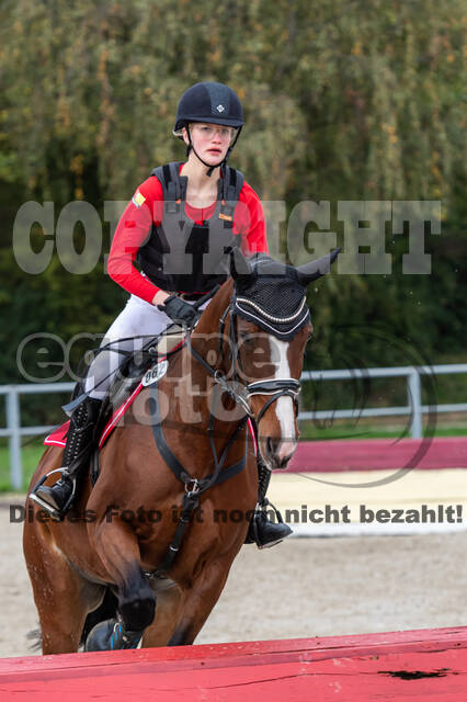 Goldene Schärpe 2020 - Pferde