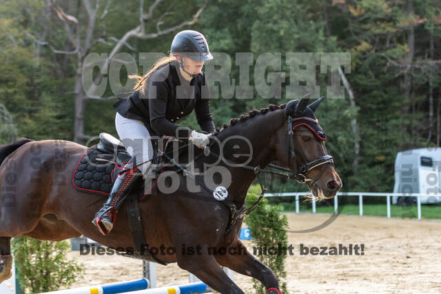 RFV Dinslaken-Hiesfeld (Herbstturnier)