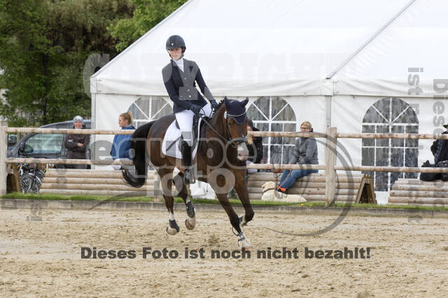 Sterne über Münster 2019 - CCI***S