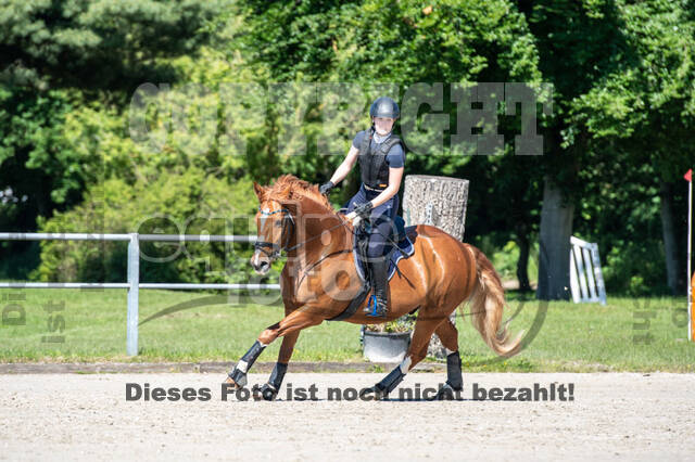 Test of Choise Langenfeld (29.+30.05.2021)