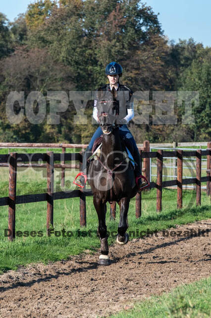 Vielseitigkeitslehrgang mit Jürg Kurbel (9.+10.11.2019)